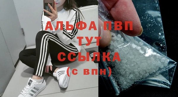 гидра Касимов