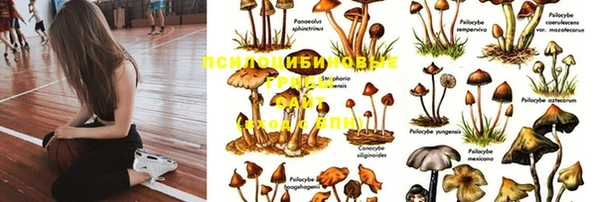 гидра Касимов