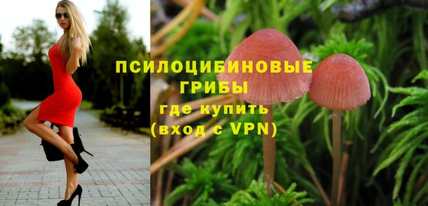 гидра Касимов