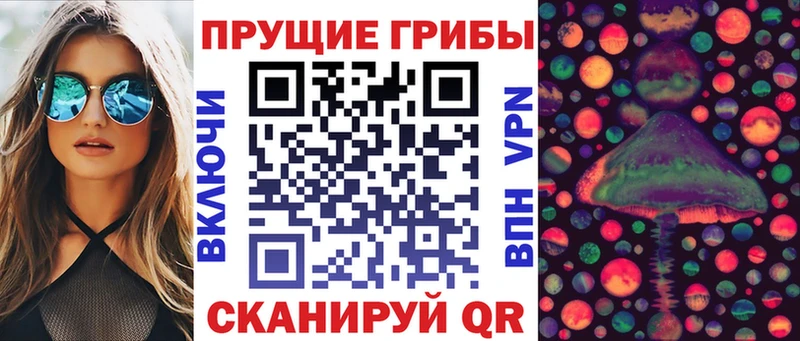 Купить  Ужур  Псилоцибиновые грибы мицелий 
